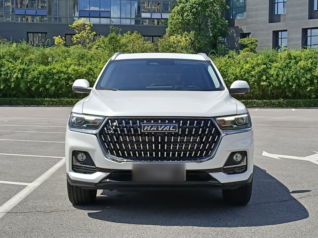 H6 2023 1.5T AT Champion photo 4