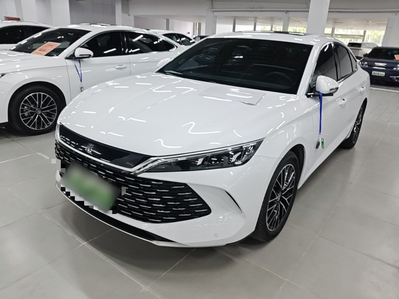 Qin L 2024 DM-i 120KM Excellence
