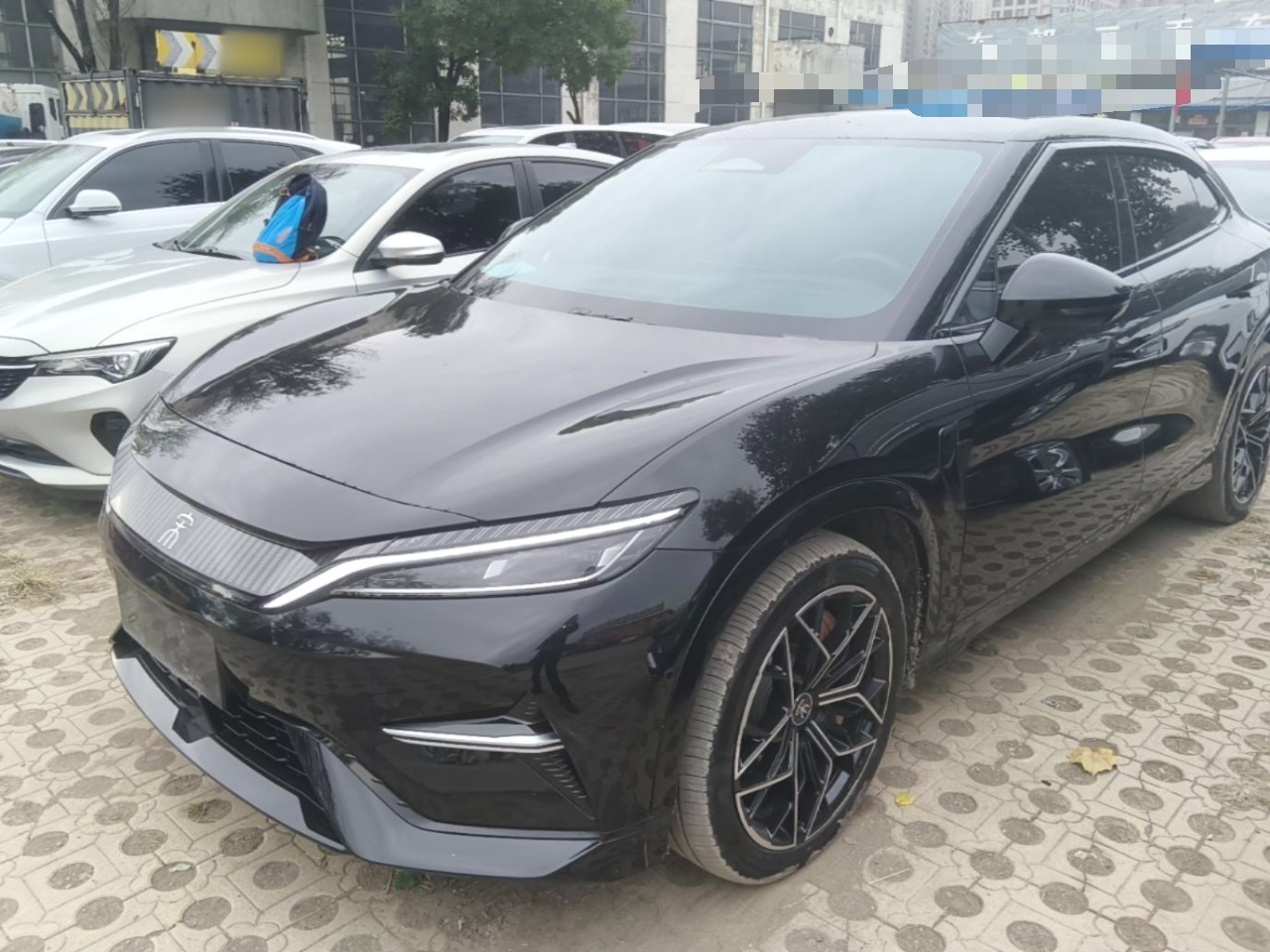 Song L EV 2024 602km AWD Excellence