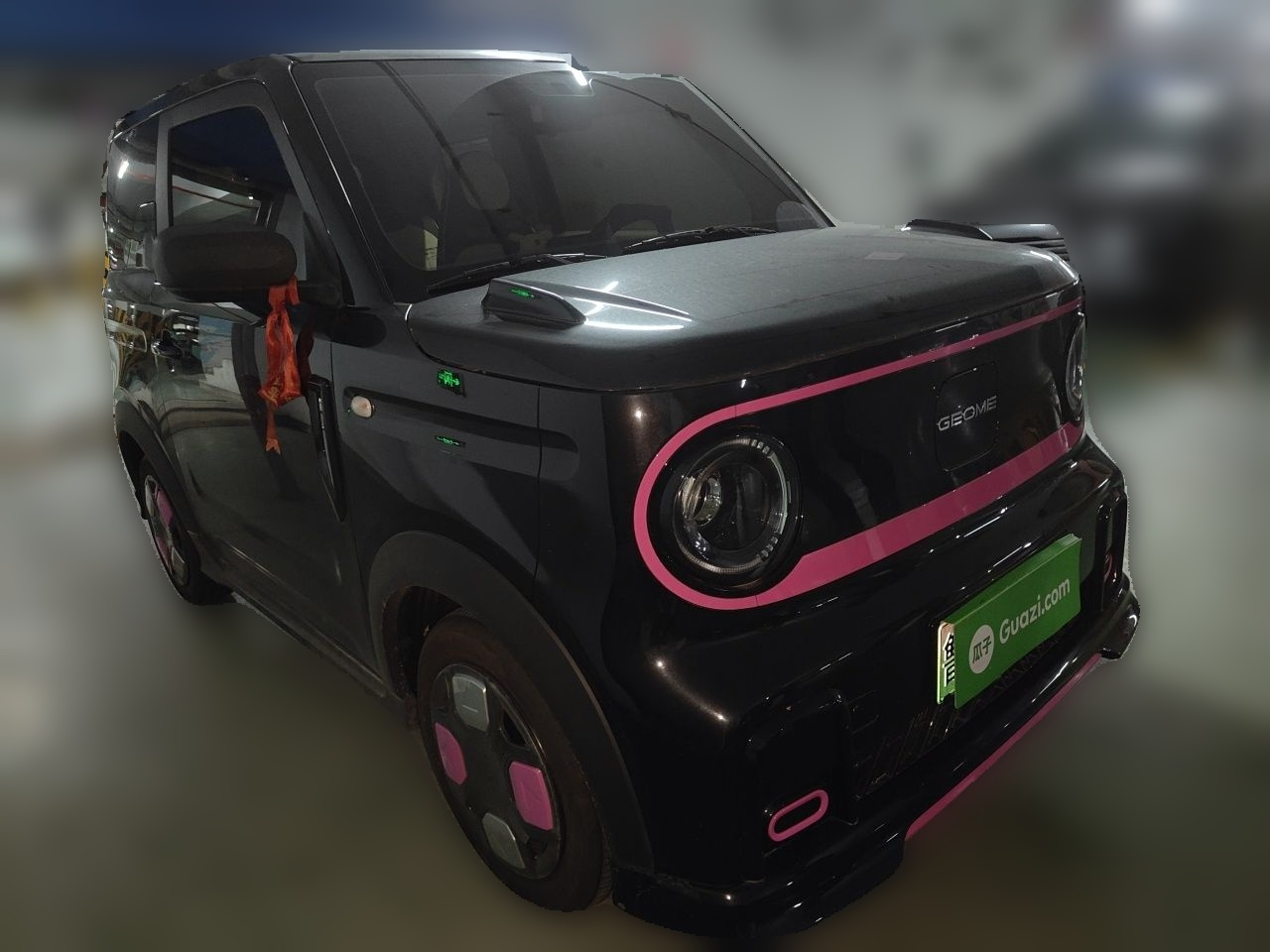 2025 210km Panda photo 3