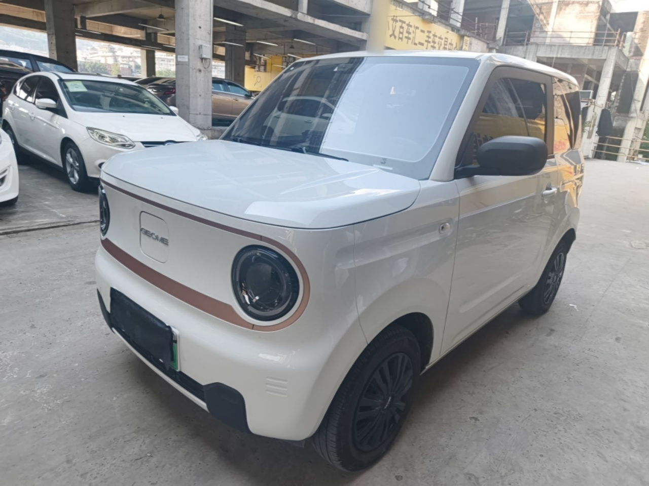 2024 Panda mini 200km Endurance Bear