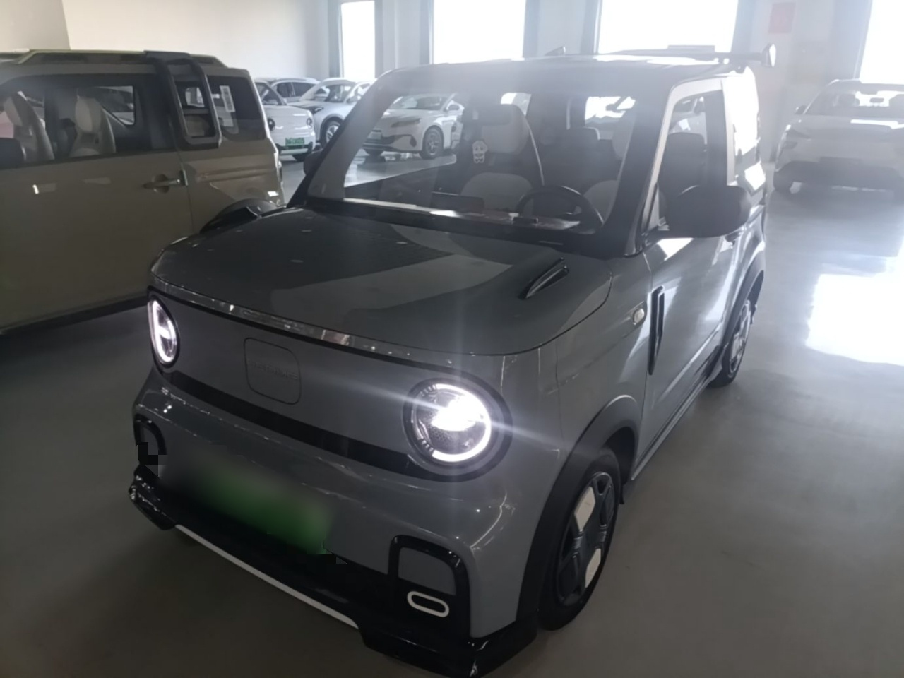 2025 210km Panda