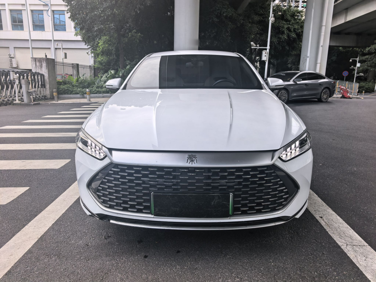 Qin PLUS 2024 Honor DM-i 55KM Leading photo 2
