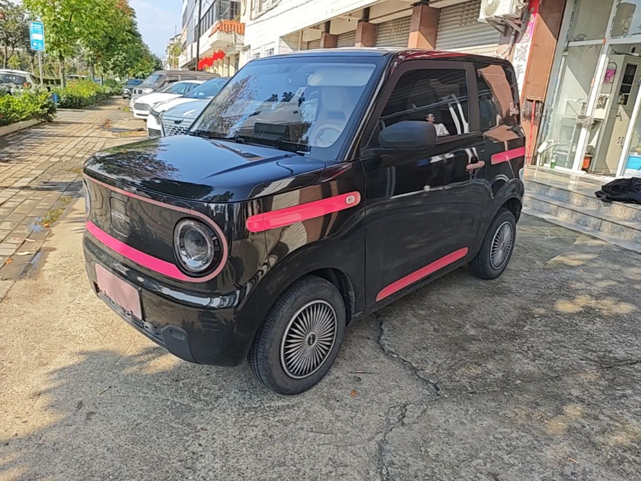 2023 Panda mini 200km Endurance Bear