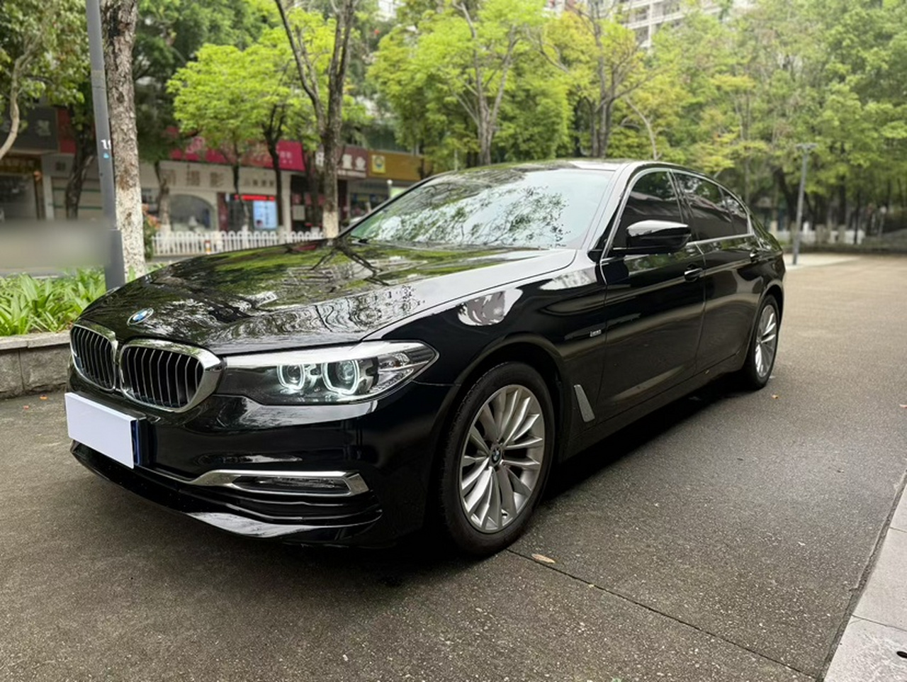 5 Series 2018 525Li Luxury