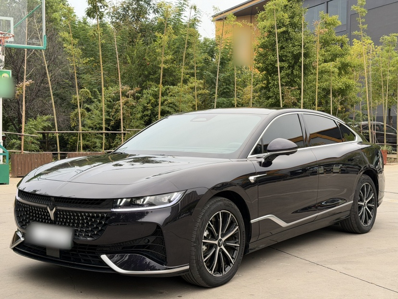 Voyah Passion 2024 PHEV AWD Extended Range Executive