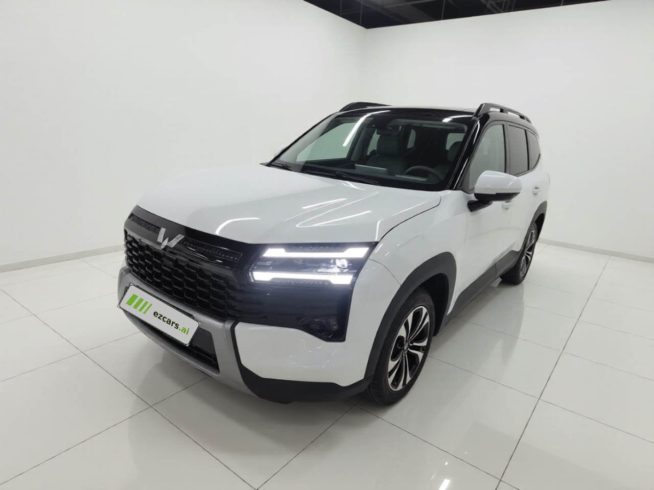 560 EV 2026 125km Luxury