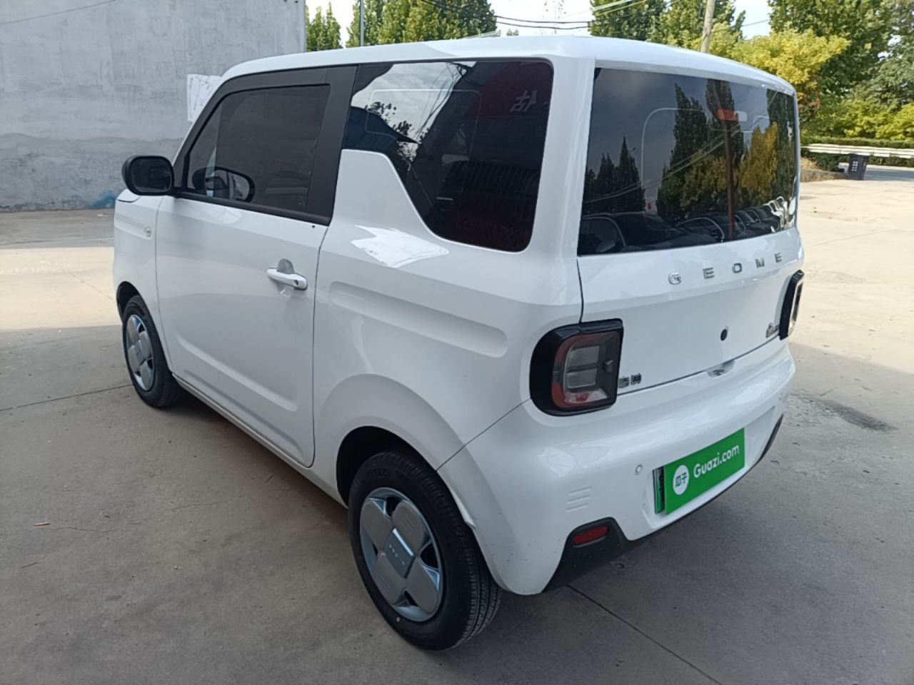2024 Panda mini 200km Endurance Bear photo 4