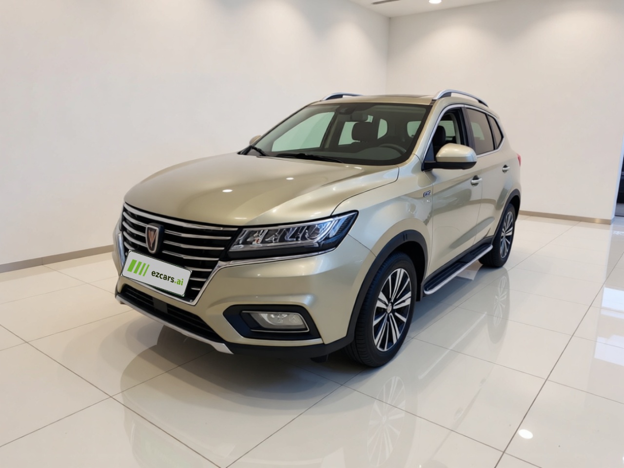 RX5 EV 2019 eRX5 50T Flagship