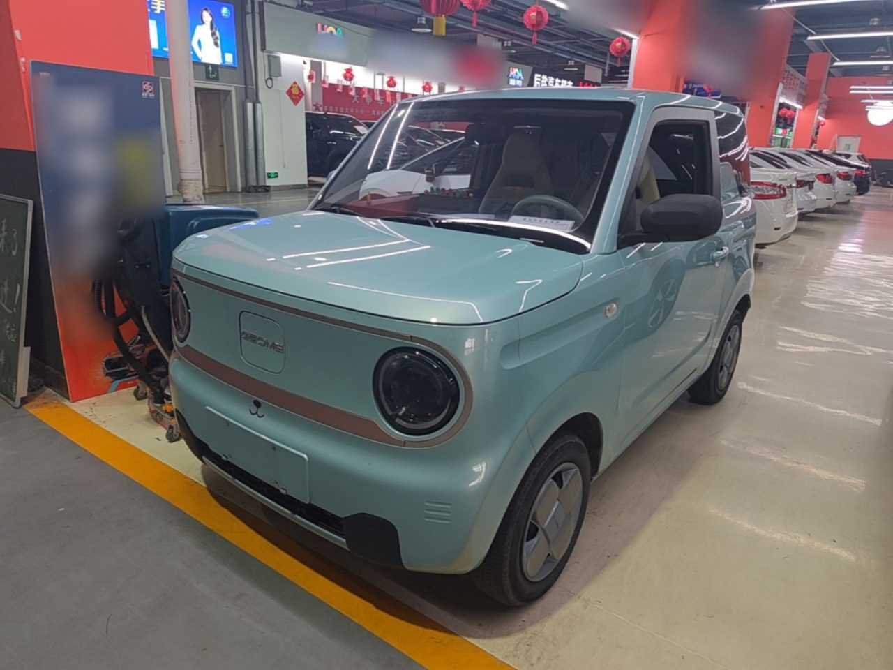 2023 Panda mini 200km Endurance Bear