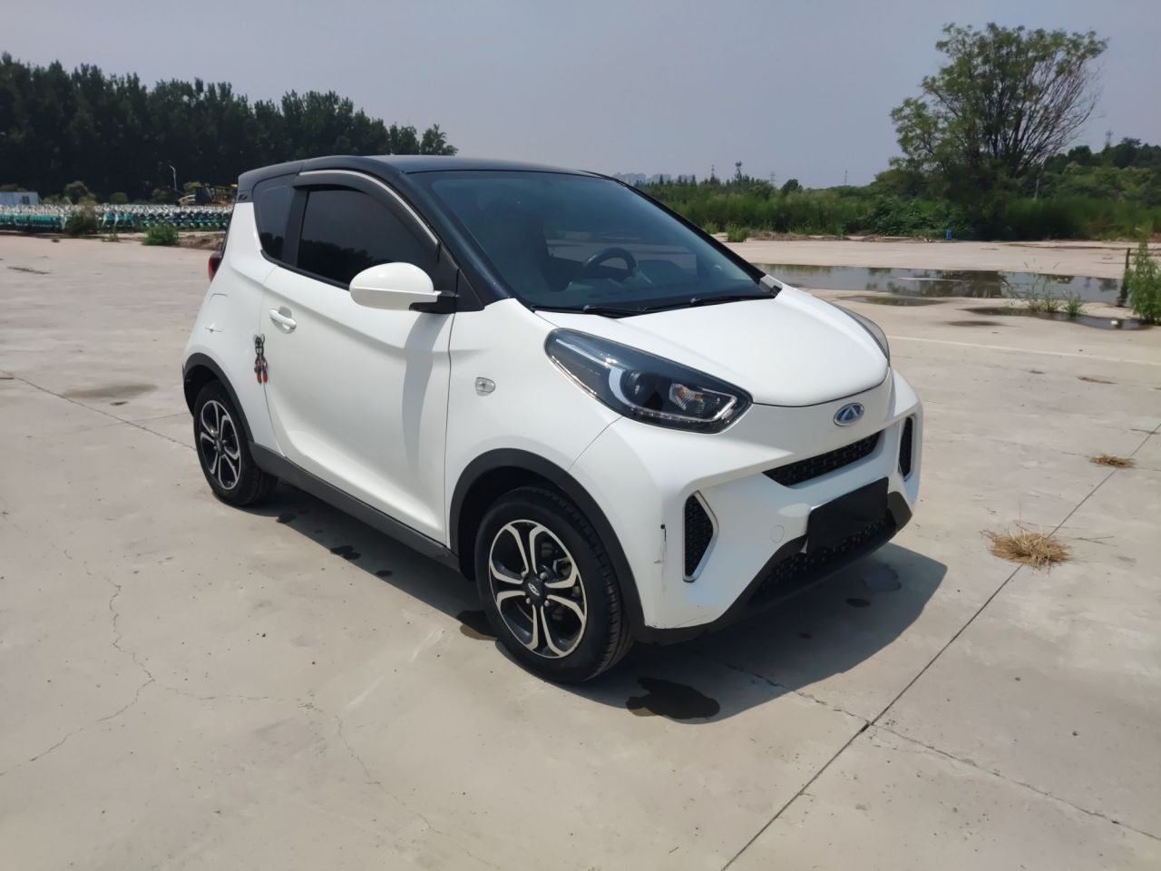 QQ Little Ant 2021 15 NCM photo 3