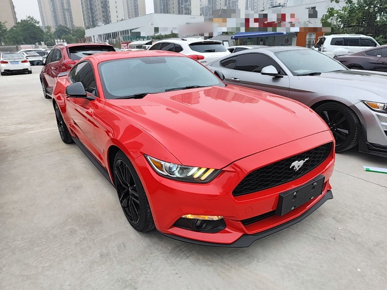 Mustang 2017 2.3T Performance photo 3