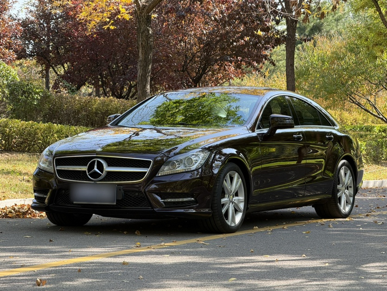 CLS 2012 CLS 300 CGI