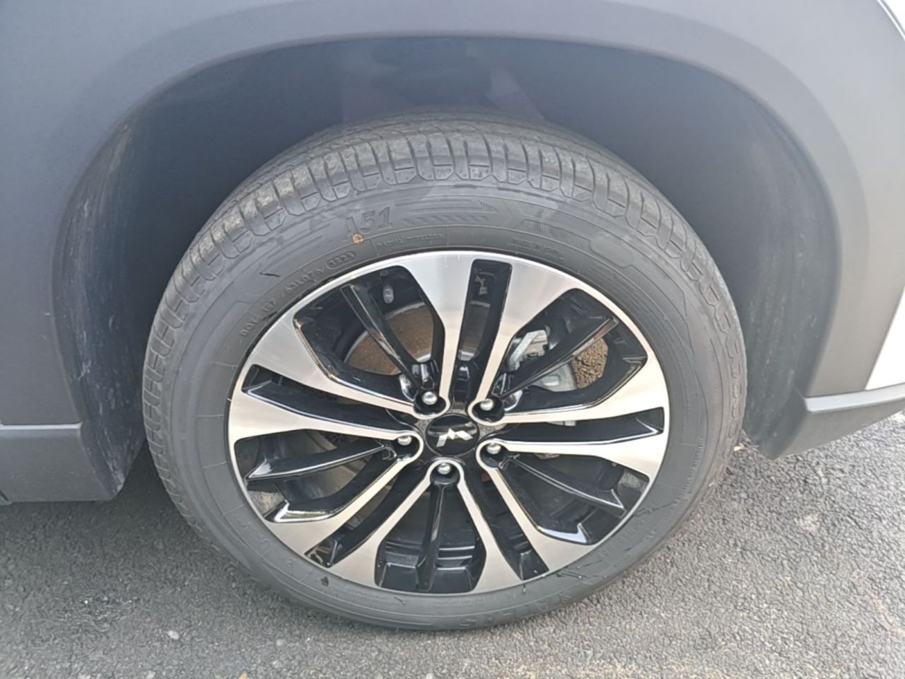 560 EV 2026 125km Luxury photo 3