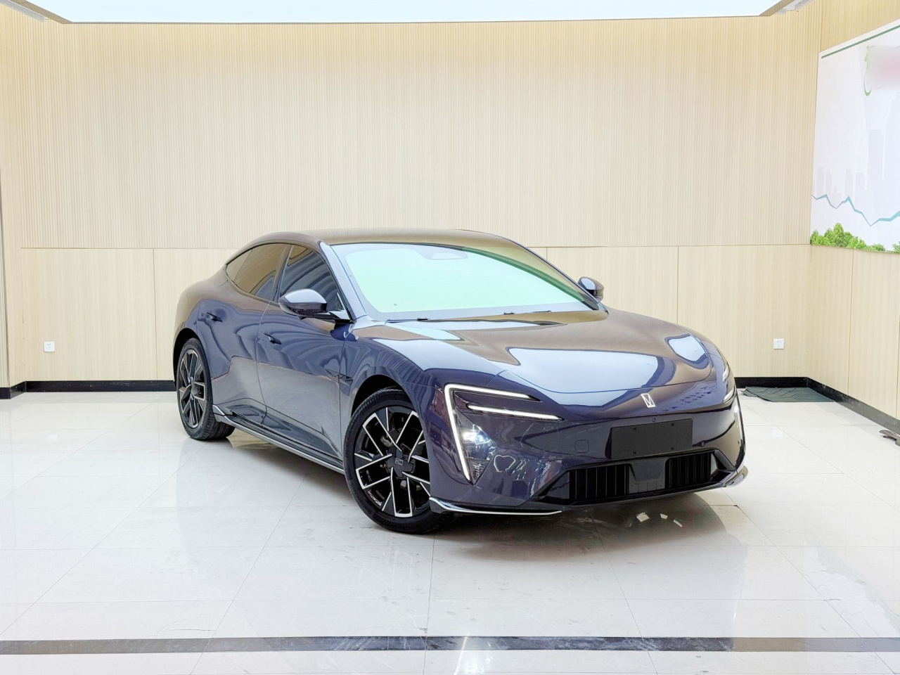 06 2025 Pro EV photo 3