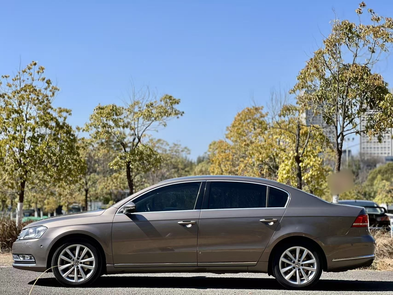 Magotan 2013 2.0TSI Premium photo 4