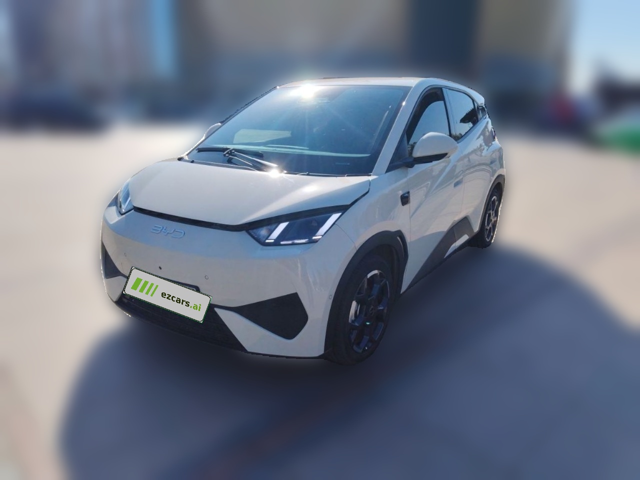 Seagull 2025 ADAS 305km