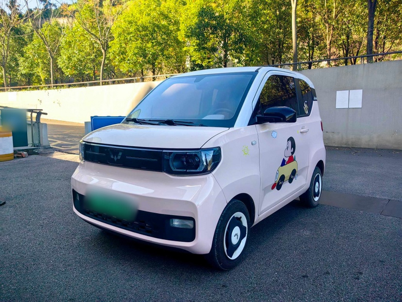 Hongguang MINIEV 2022 Macaron LFP photo 5