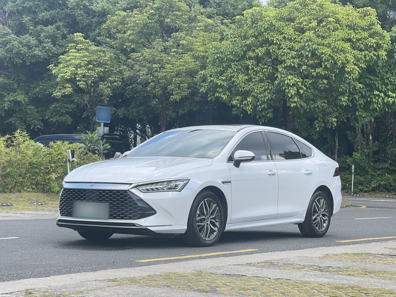 Qin PLUS 2021 DM-i 55KM Flagship