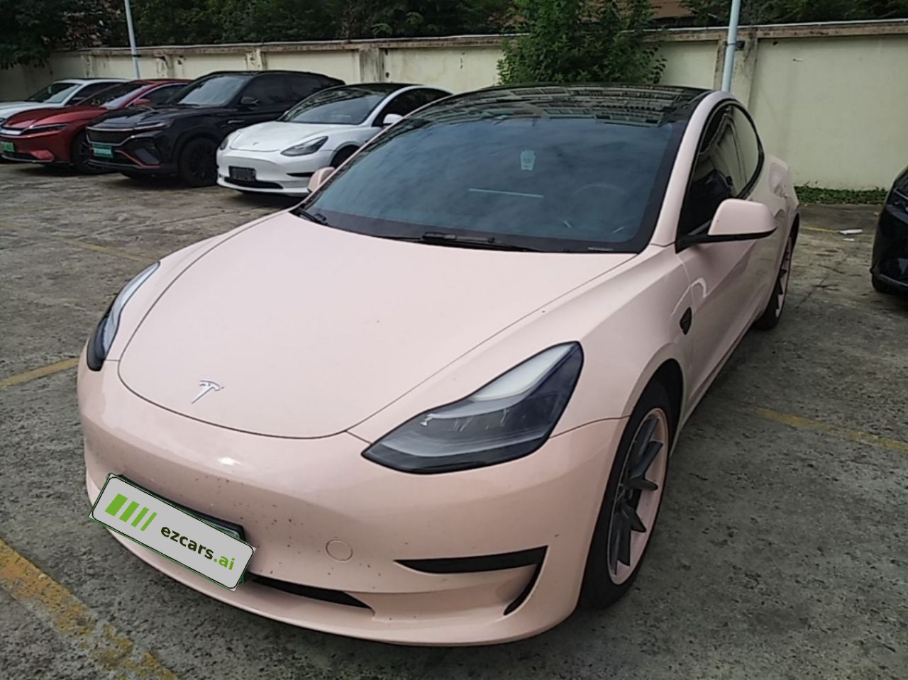 Model 3 2021 Standard Range RWD Upgraded 3D6