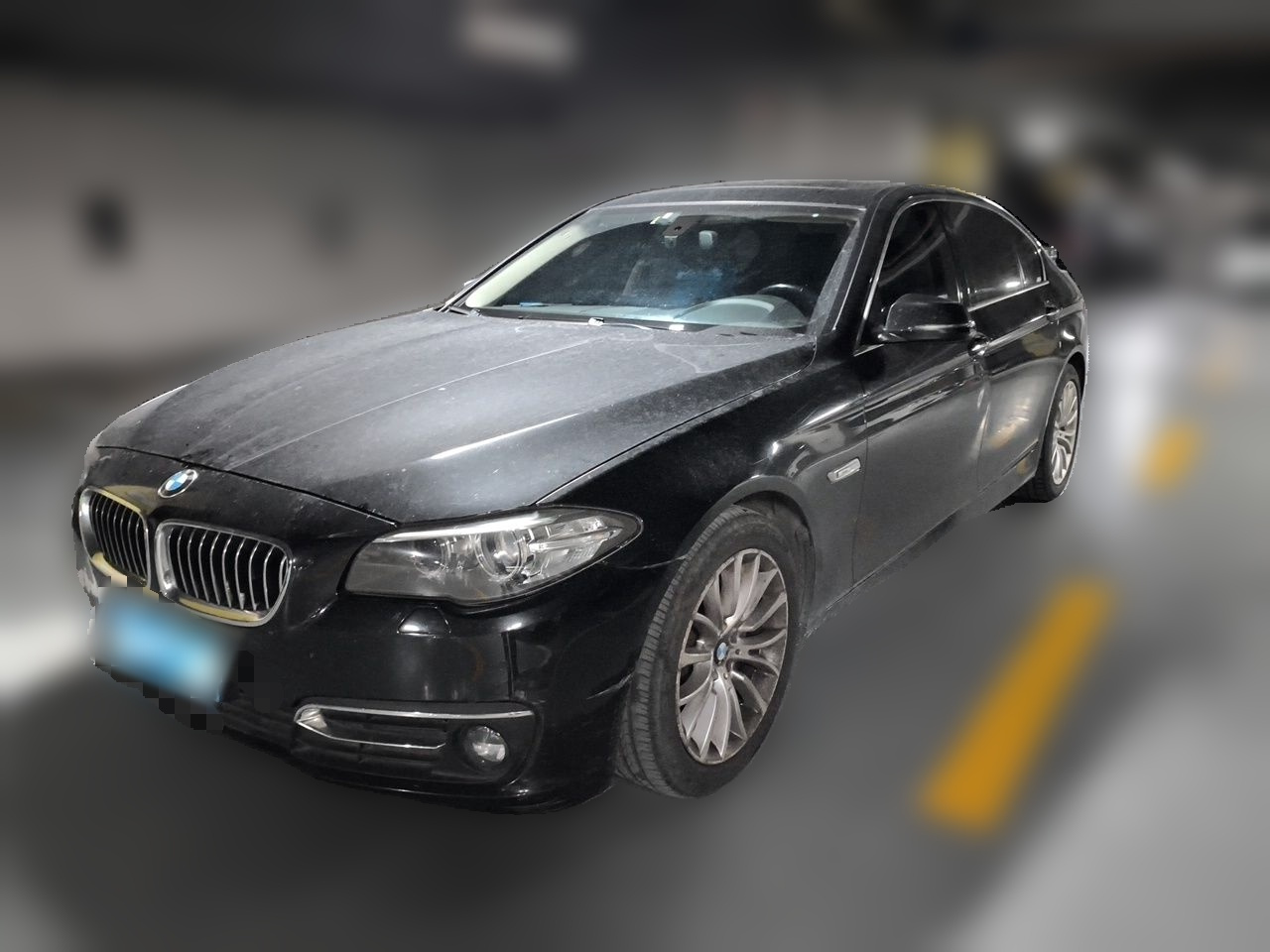 5 Series 2014 525Li Luxury Design Package