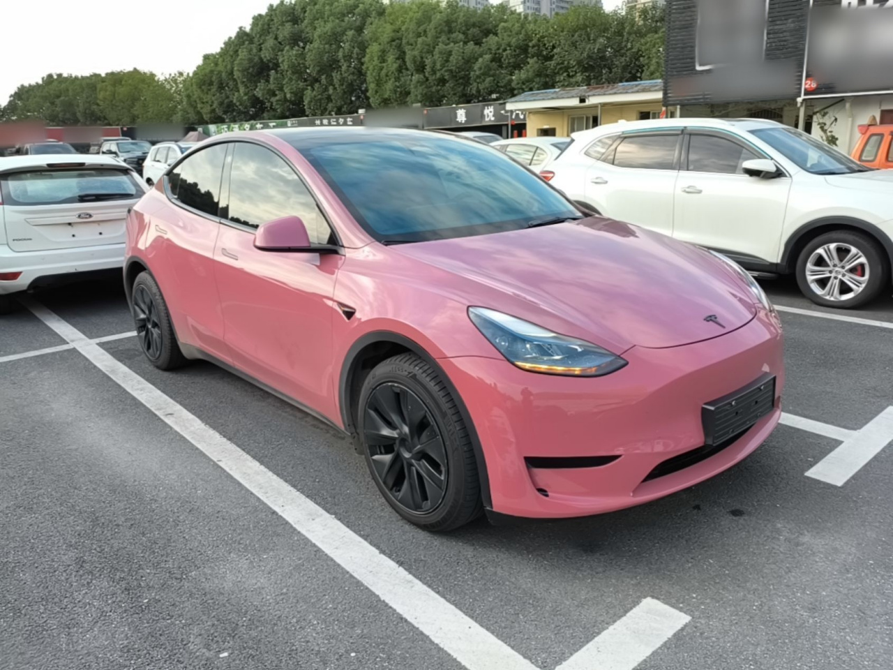 Model Y 2023 RWD photo 5
