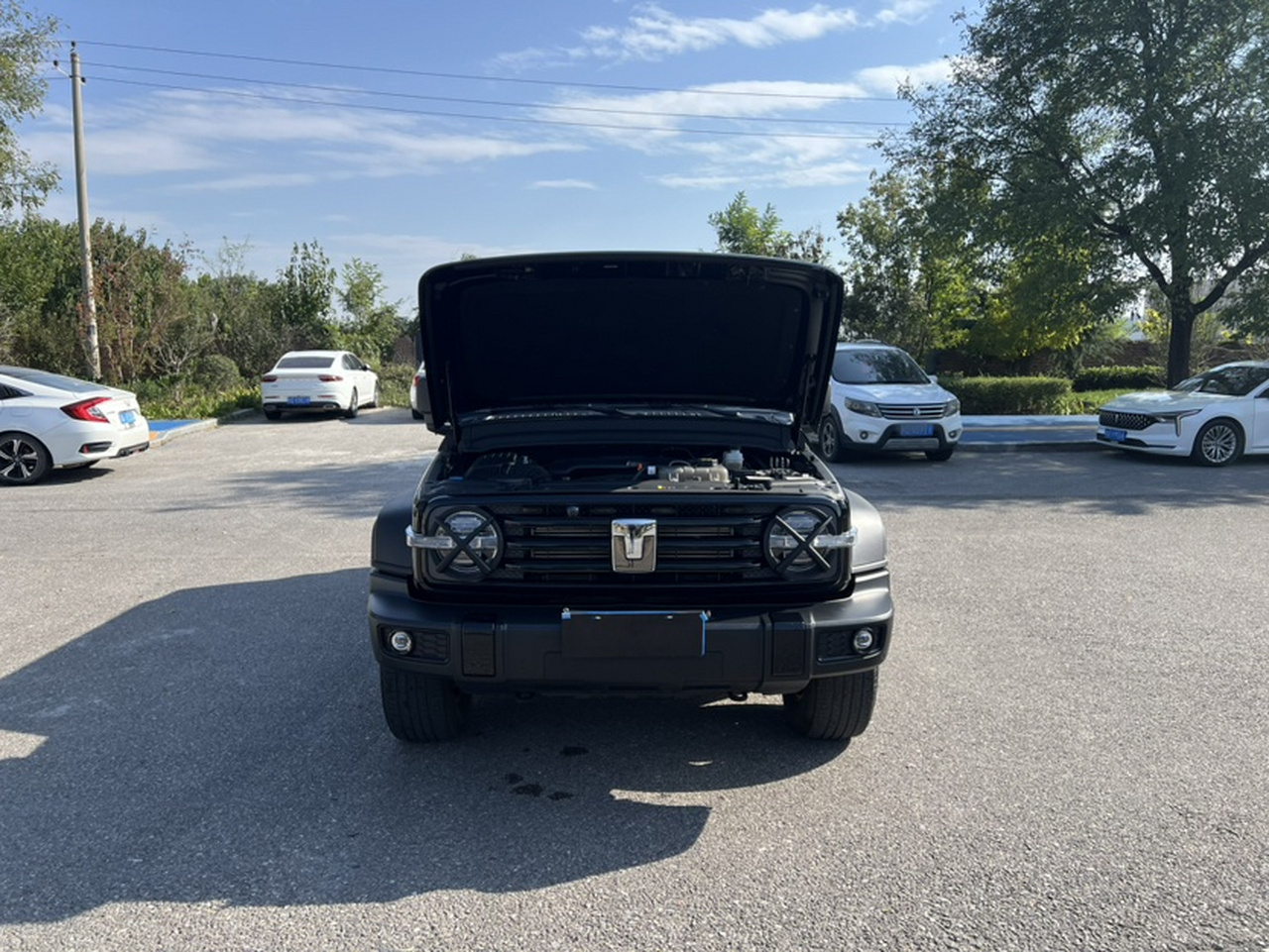 300 2023 Off-road 2.0T photo 3