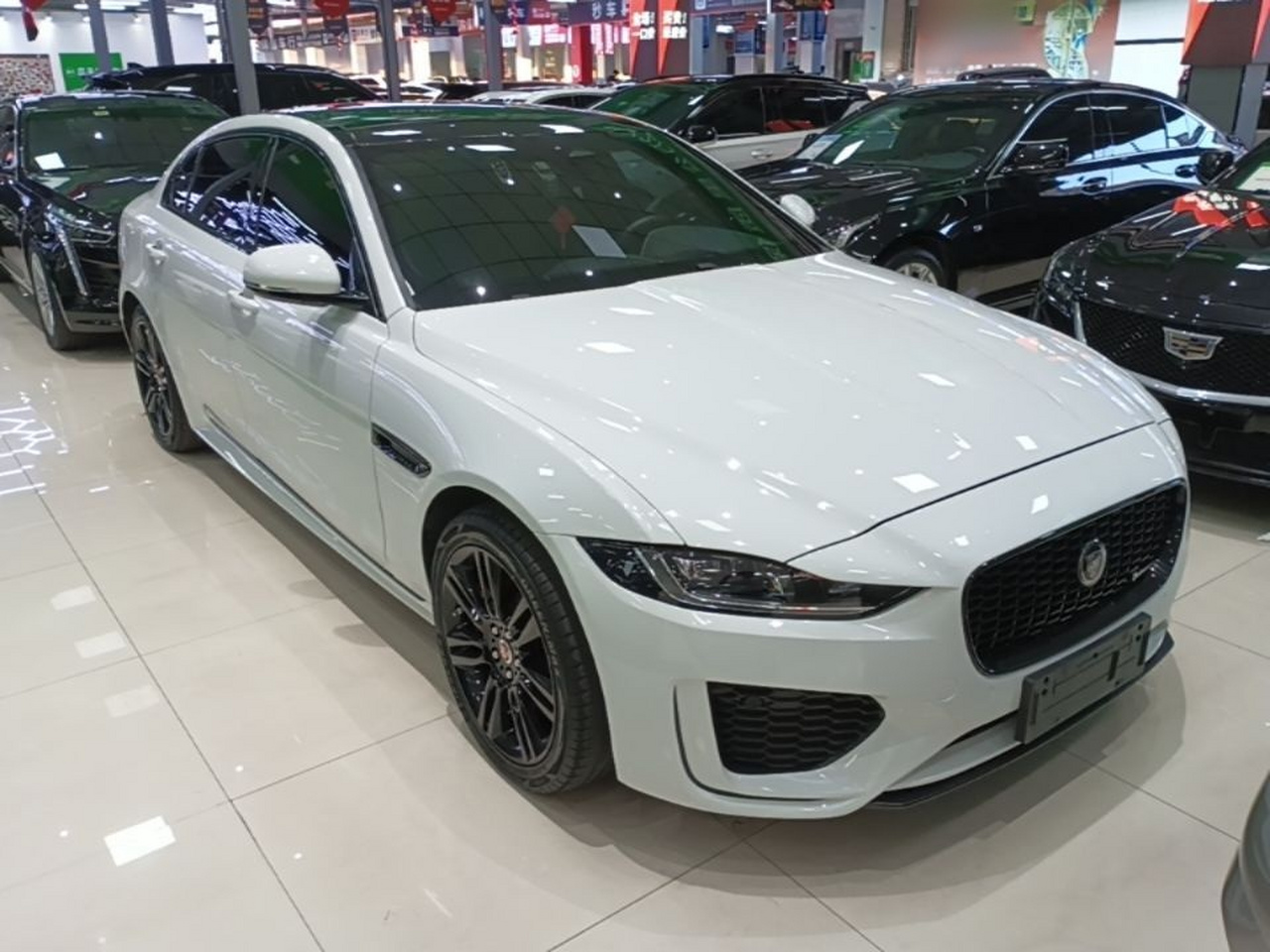 XEL 2021 2.0T 250PS Sport photo 3
