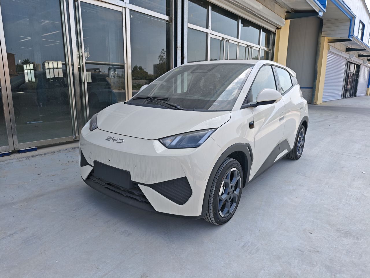 Seagull 2025 ADAS 305km