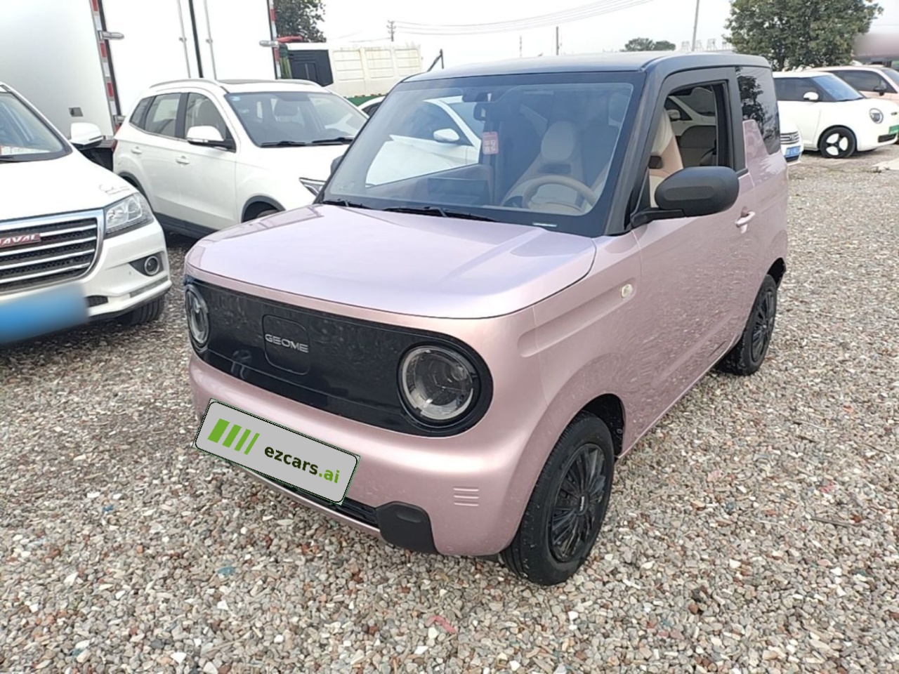 2024 Panda mini 200km Endurance Bear