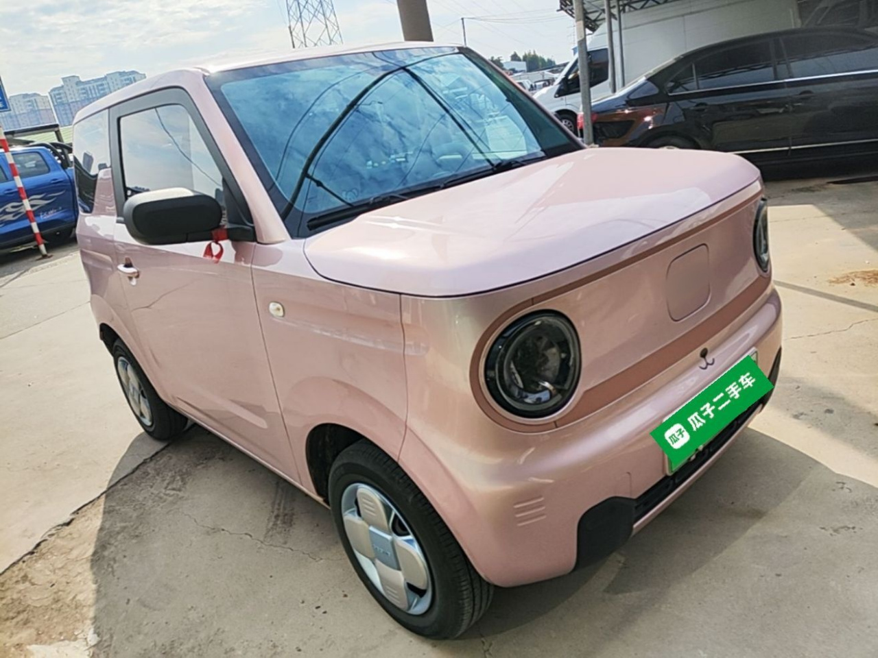 2024 Panda mini 200km Endurance Bear photo 3