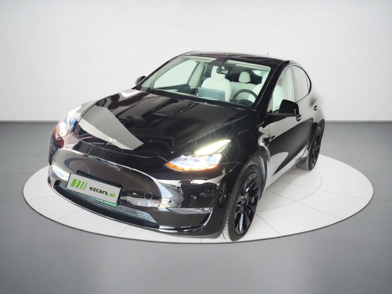Model Y 2021 Long Range AWD 3D7