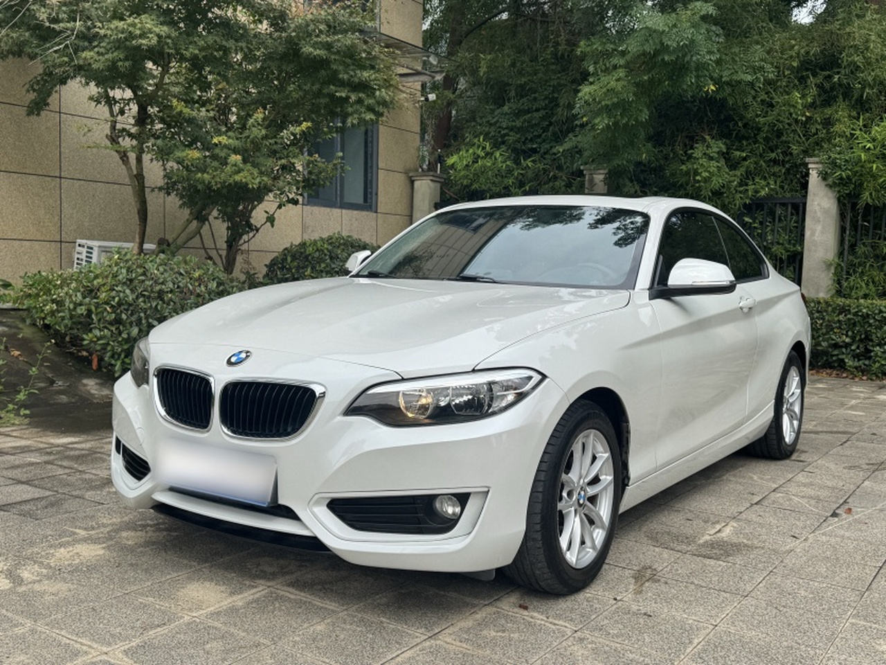 2 Series Imported 2015 218i