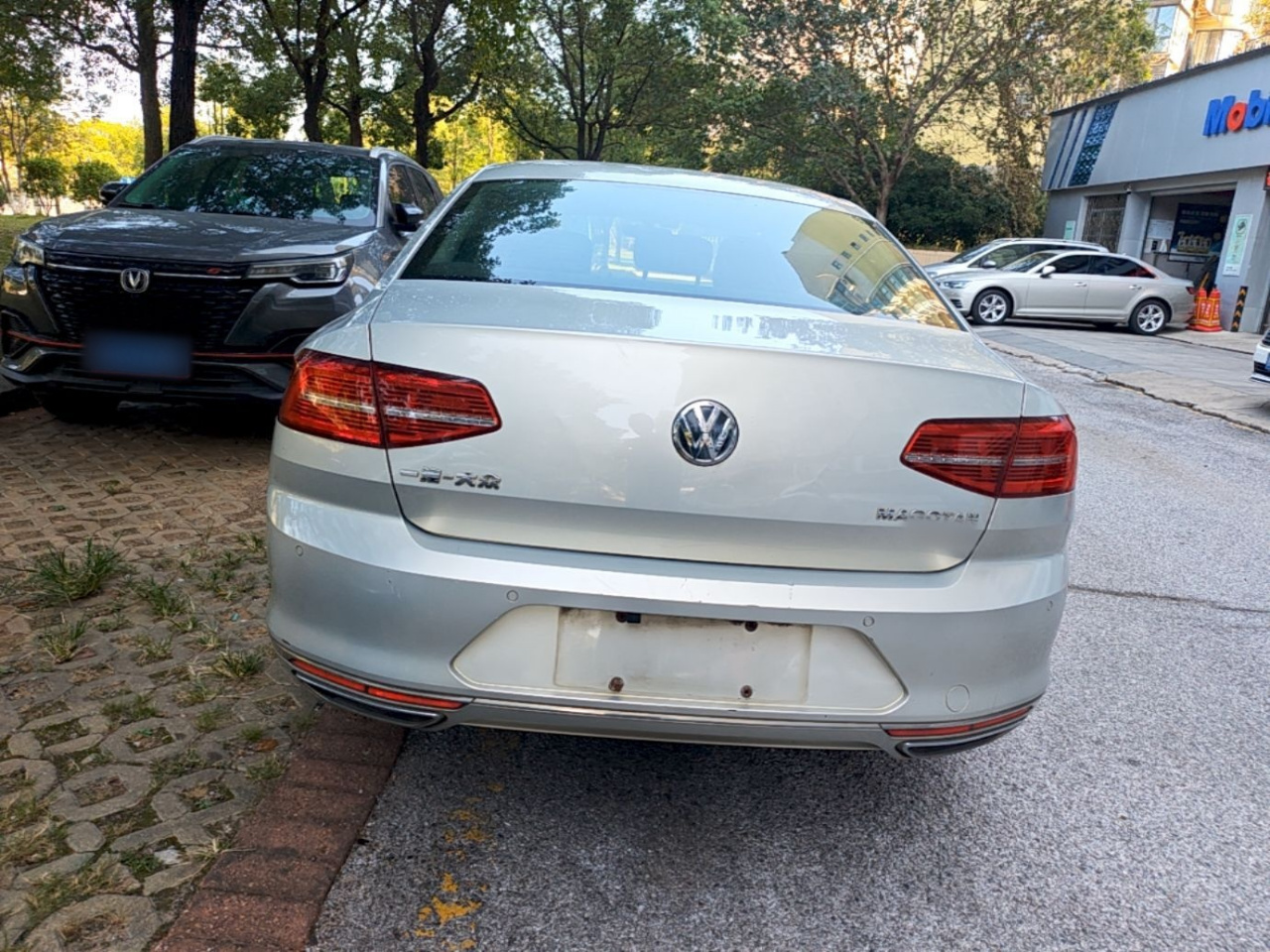 Magotan 2018 330TSI DSG Luxury photo 5