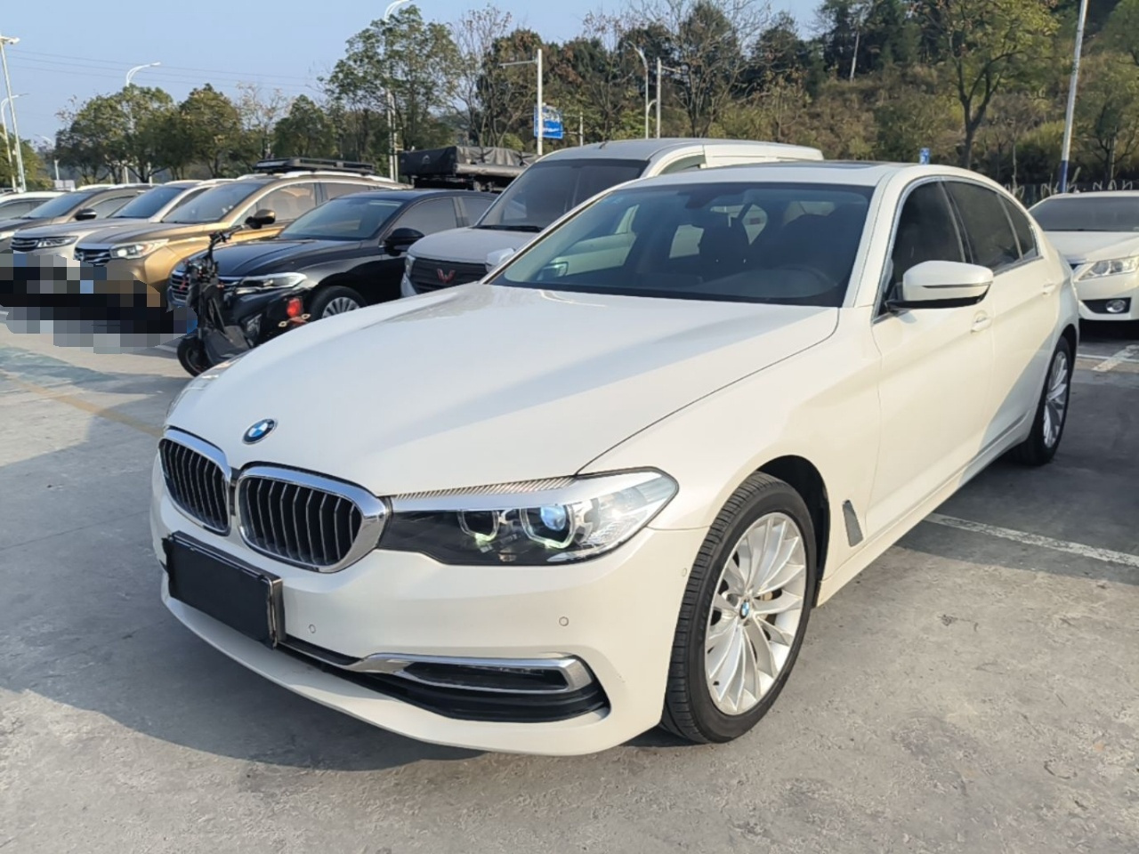5 Series 2019 530Li Leading Luxury