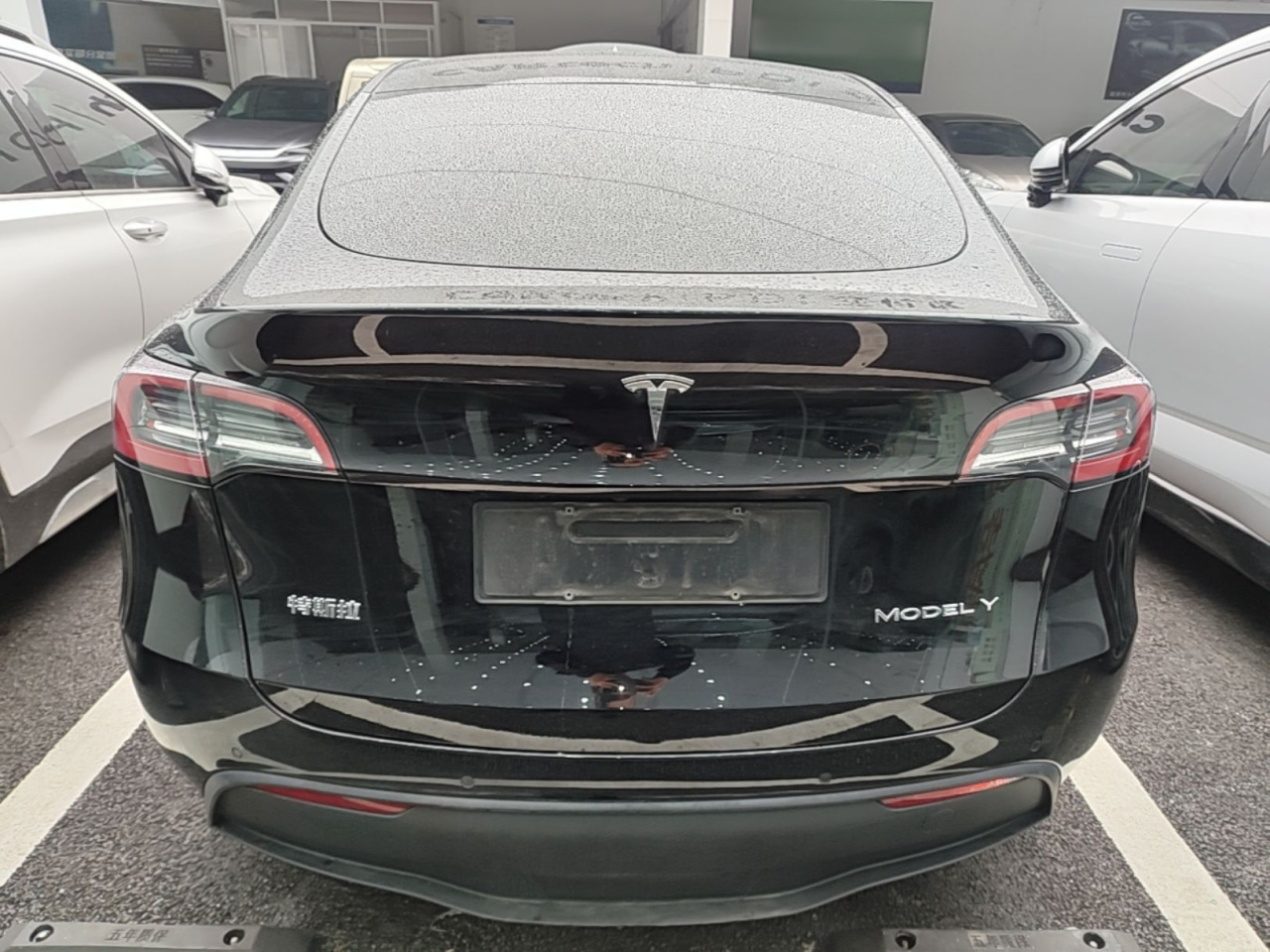 Model Y 2022 RWD photo 5