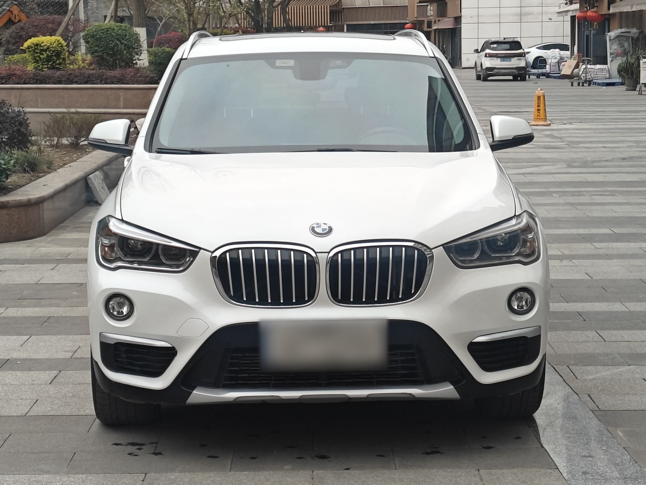 X1 2019 xDrive20Li Exclusive photo 2