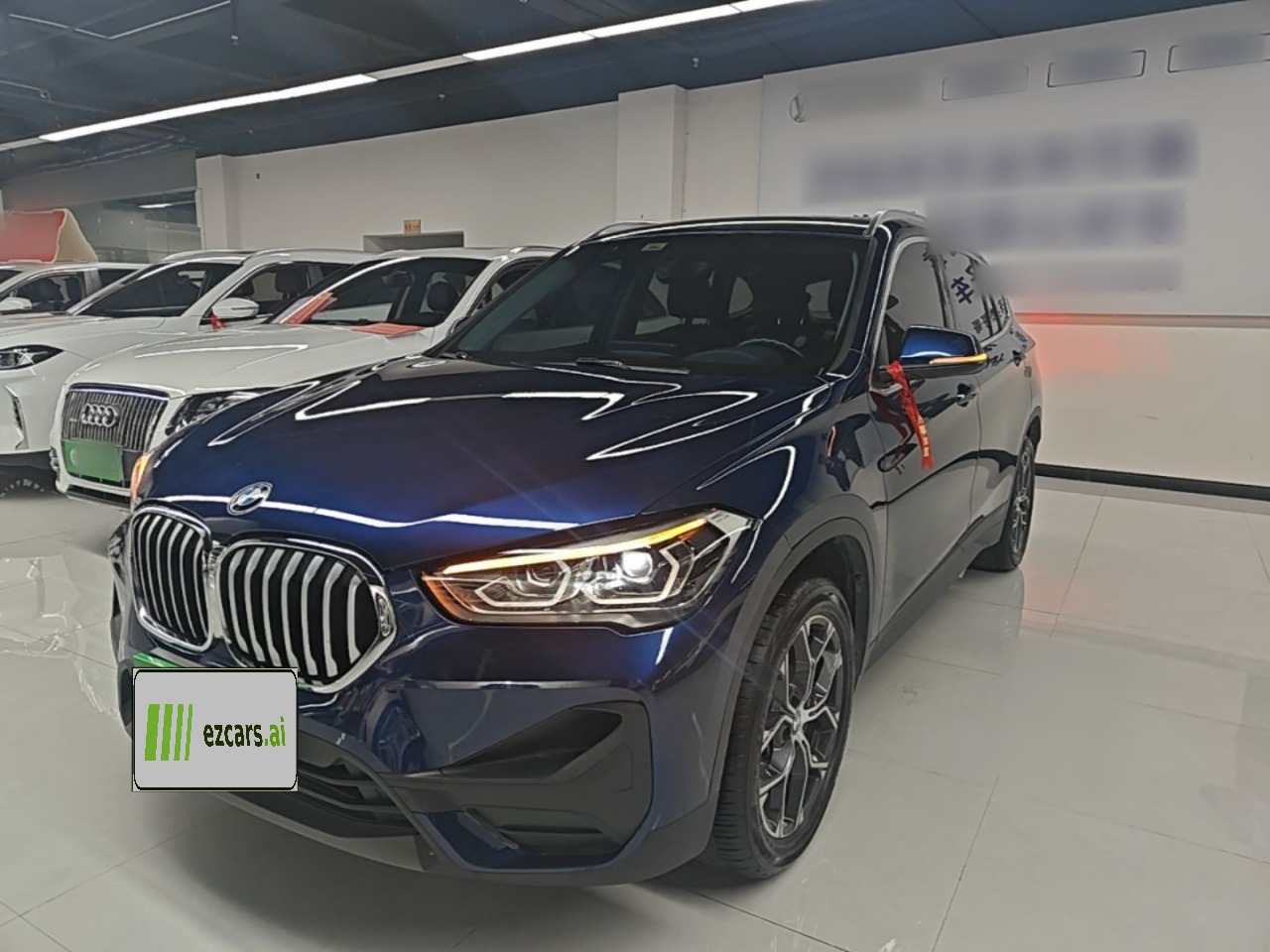 X1 2020 sDrive25Li Leading