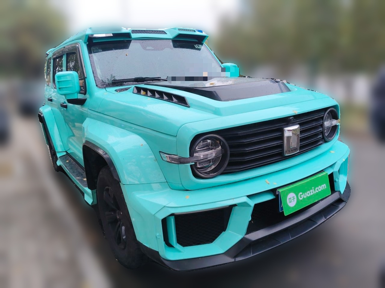 300 2021 Off-road 2.0T Conqueror photo 3