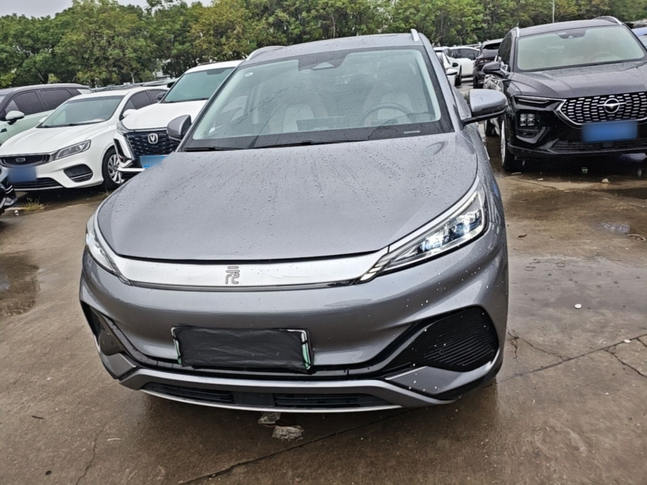 Yuan PLUS 2024 Honor 430KM photo 2