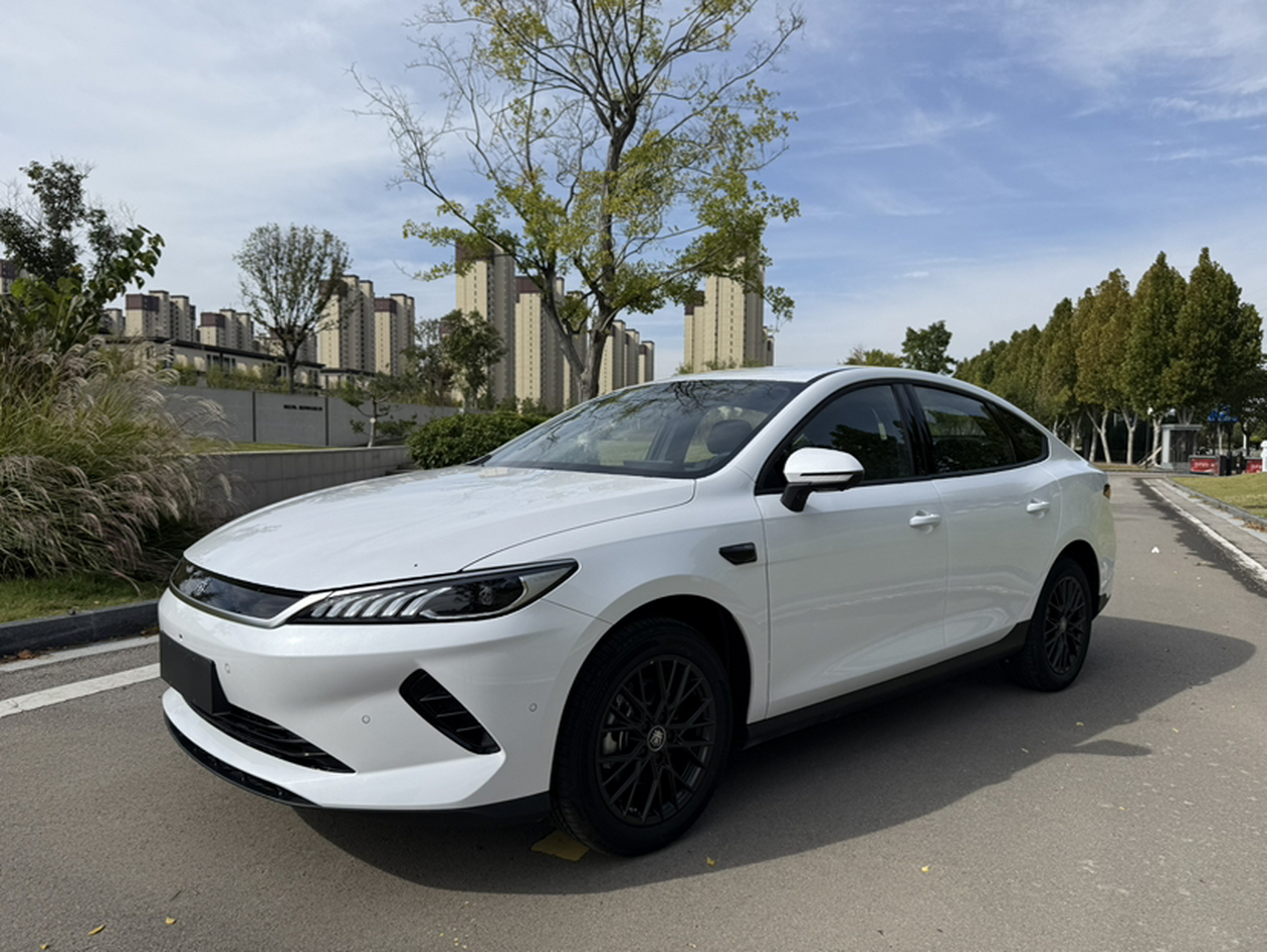 Qin PLUS 2025 EV ADAS 420KM Leading