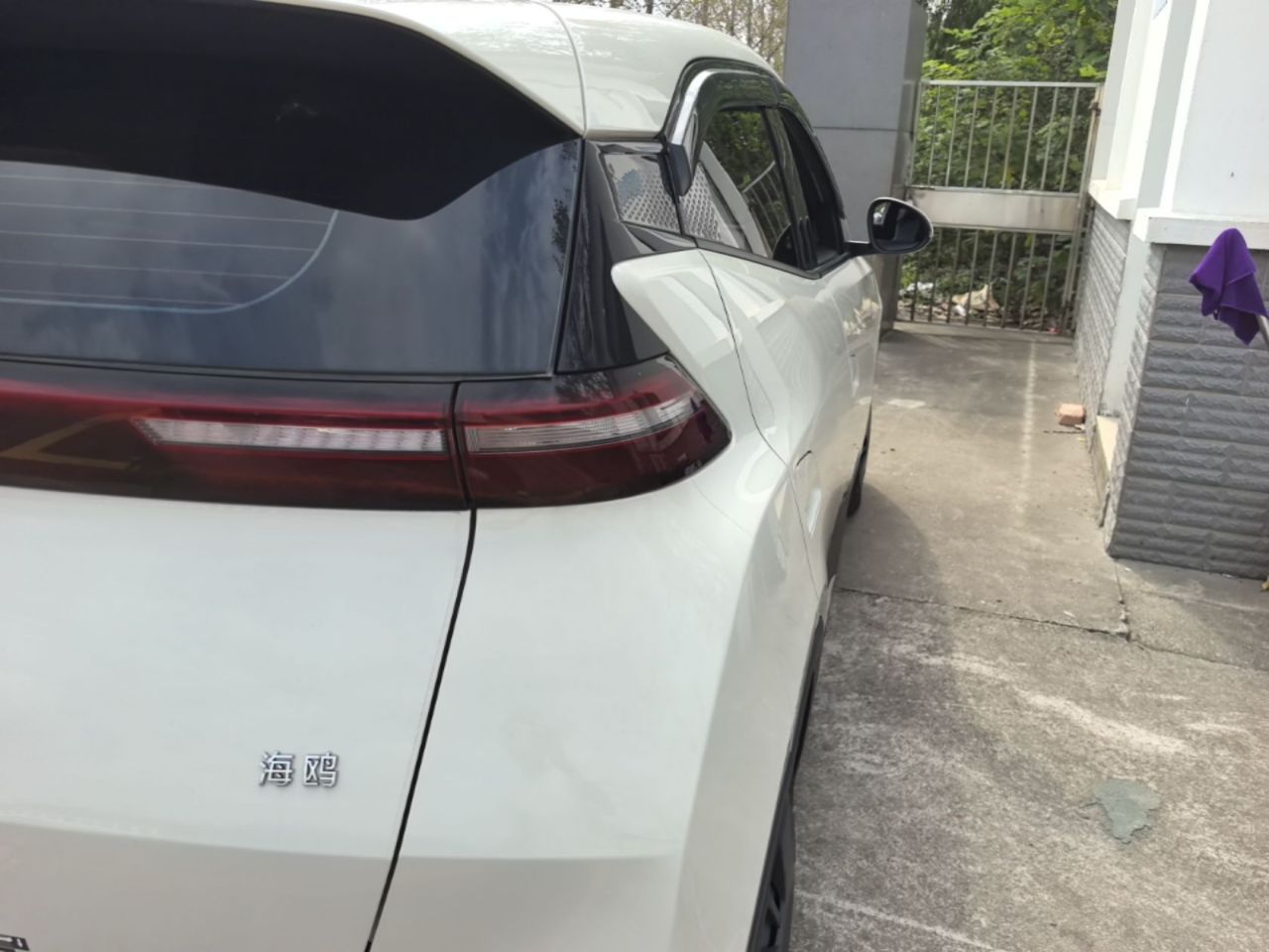 Seagull 2025 305km photo 2