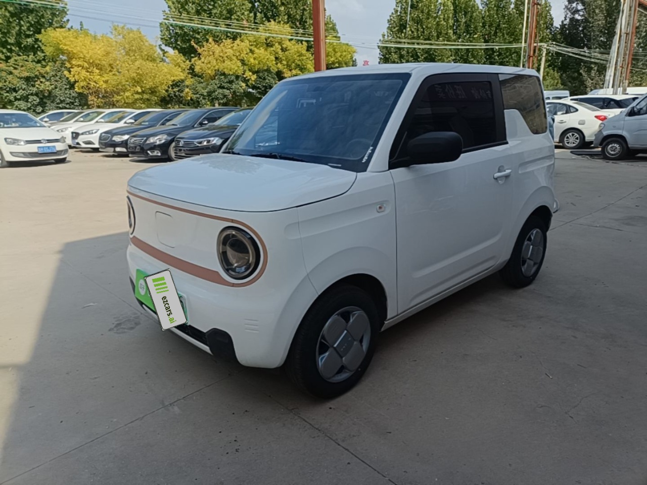 2024 Panda mini 200km Endurance Bear
