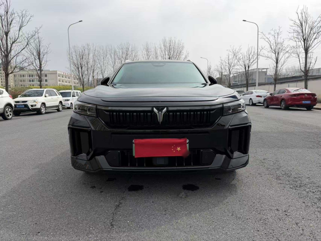 Voyah FREE 2024 Extended Range ADAS photo 2