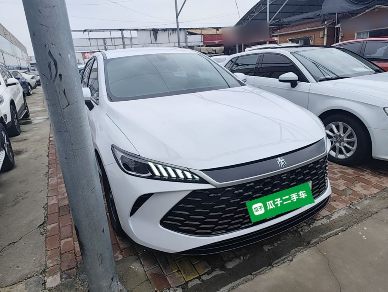 Qin PLUS 2025 DM-i ADAS 55KM Leading photo 3