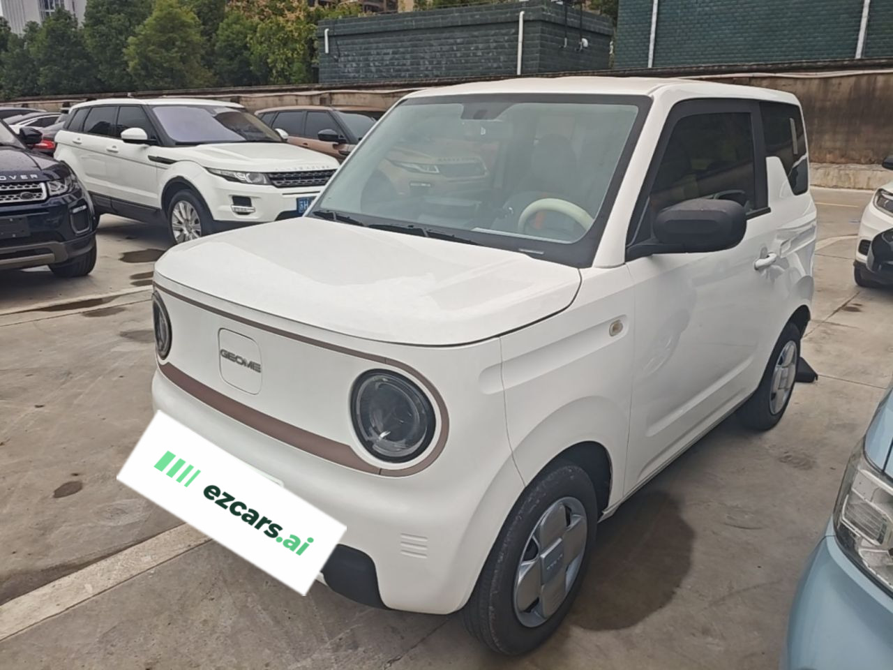 2023 Panda mini 200km Endurance Bear
