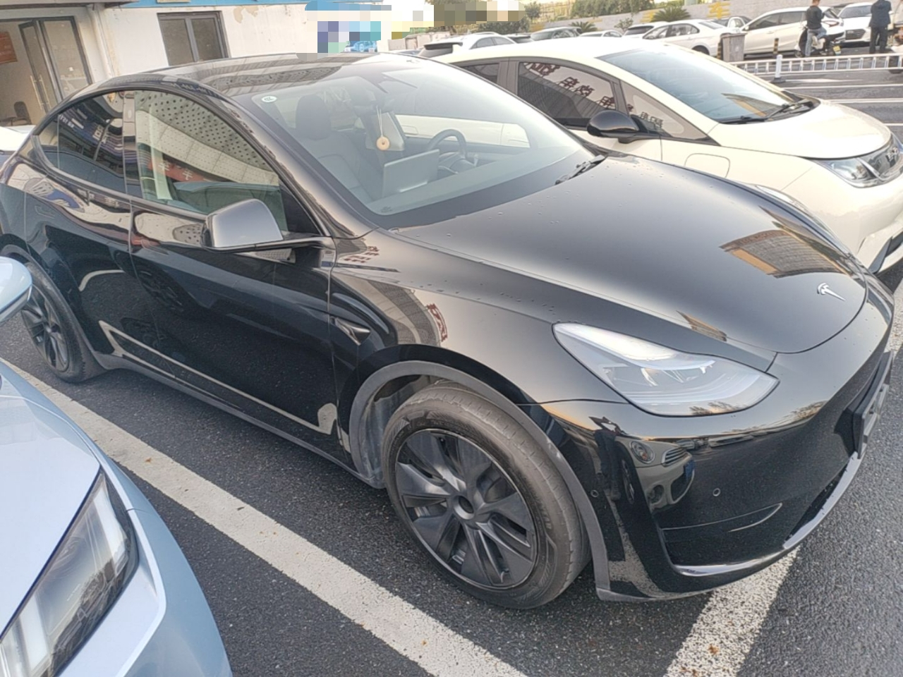Model Y 2023 RWD photo 3