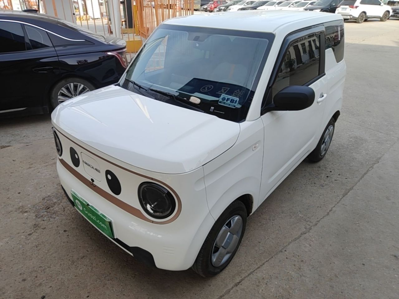 2024 Panda mini 200km Endurance Bear