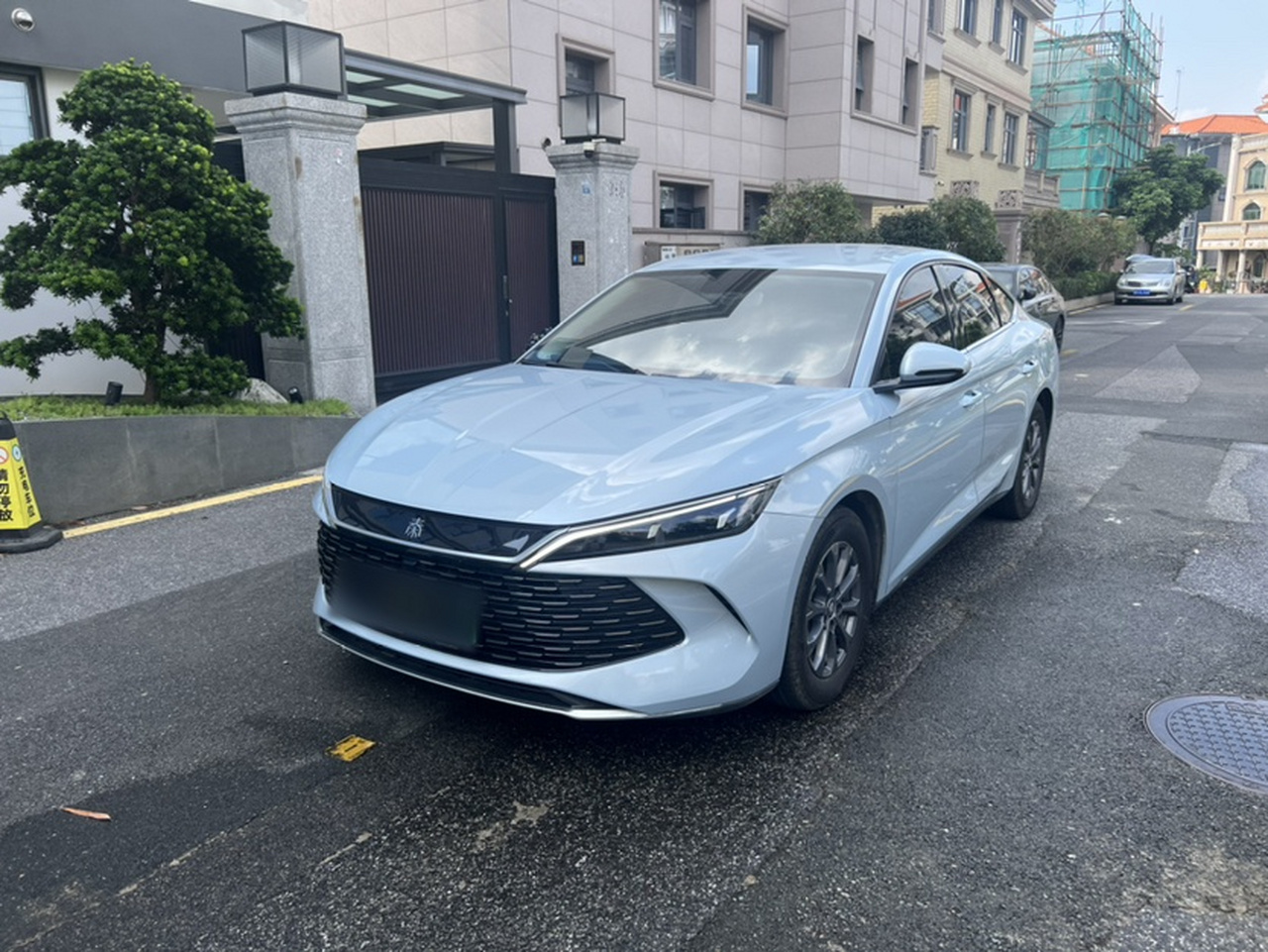 Qin L 2024 DM-i 80KM Leading