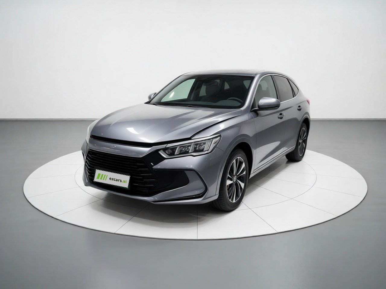 Song Pro EV 2024 Honor DM-i 71KM Pilot